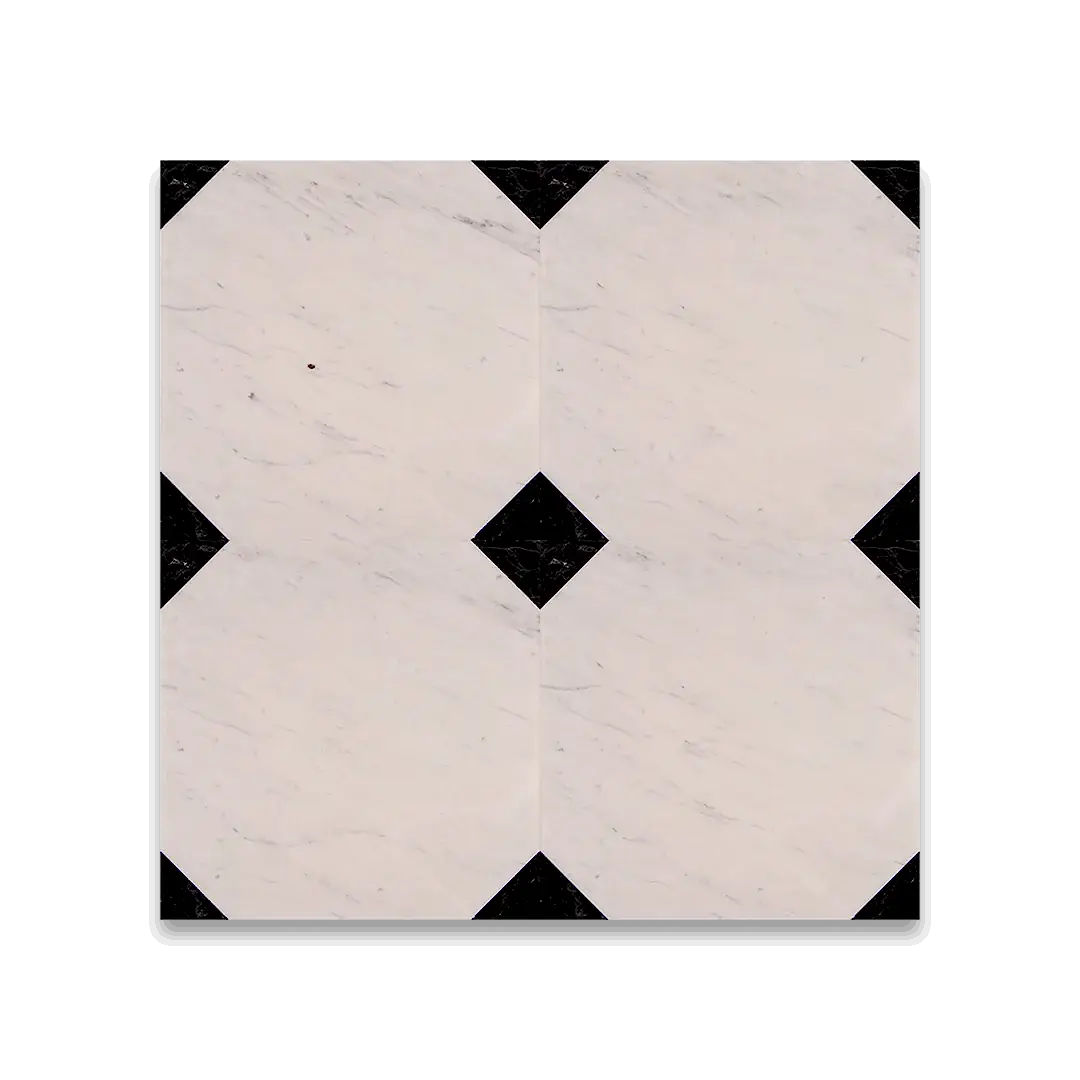 Anthropology Black Marble
